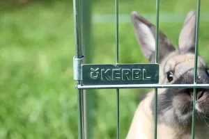 Ohrádka králík, morče skládací EASY Ohrádka králík, morče skládací EASY