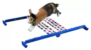 Agility pro králíky Kombinovaná překážka