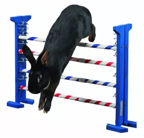Agility pro králíky Kombinovaná překážka