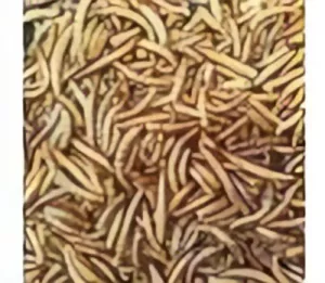 Apetit Mealworm 60g, moučný červ sušený Apetit Mealworm 60g, moučný červ sušený