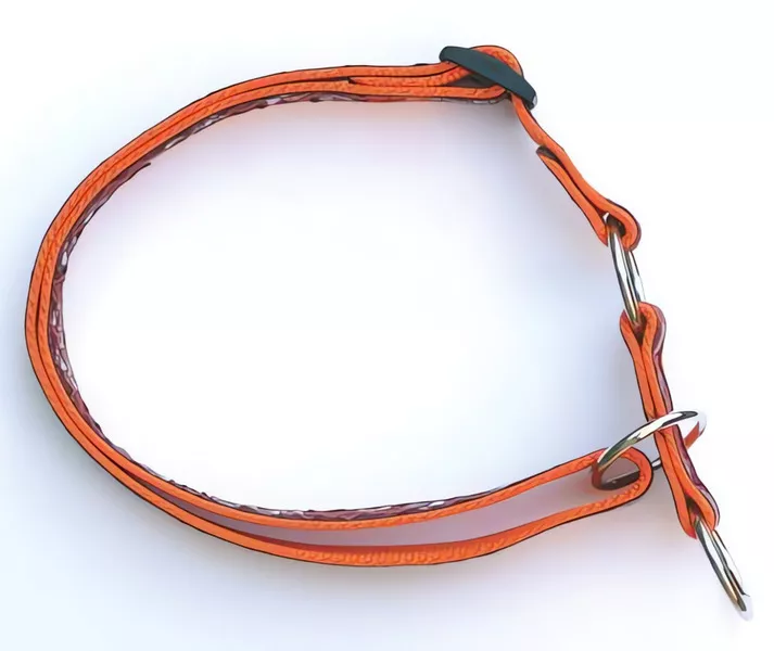 Atlanta obojek polostahovací 40-70cm/25mm,oranžový