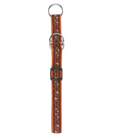Atlanta obojek polostahovací 40-70cm/25mm,oranžový