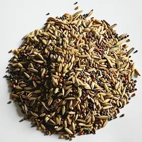Apetit - Lesní zpěvné ptactvo 25kg, základní krmná směs pro venkovní ptáky (LZP)